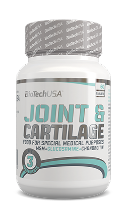 Joint and Cartilage