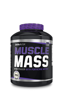 Muscle Mass