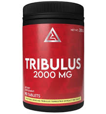 TRIBULUS